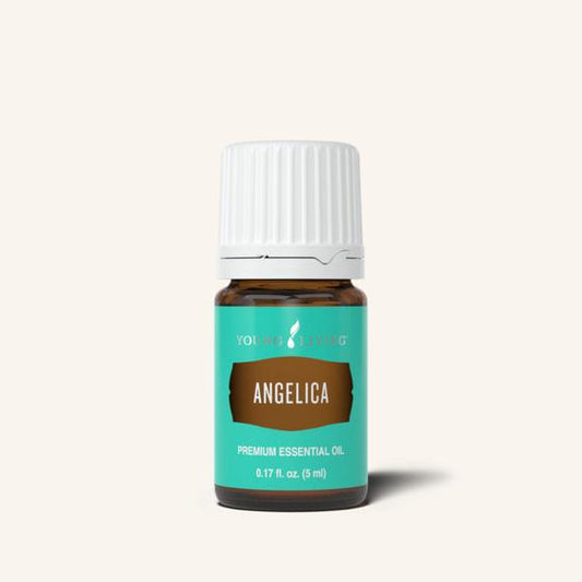 Young Living Angelica etherische olie, 100% pure essentiële olie van Angelica archangelica met een warm, kruidig en aardend aroma.