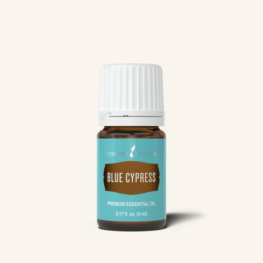 Young Living Blue Cypress etherische olie, 100% pure essentiële olie van Callitris intratropica met een warm, houtachtig en balsemachtig aroma.