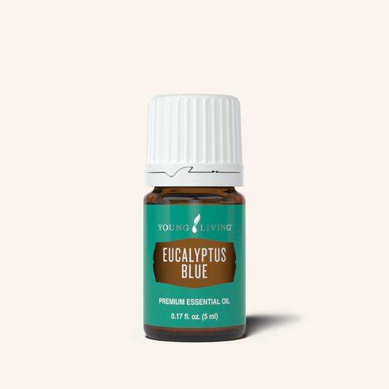 Young Living Eucalyptus Blue etherische olie, 100% pure essentiële olie van Eucalyptus bicostata met een frisse, zachte en licht zoete eucalyptusgeur.