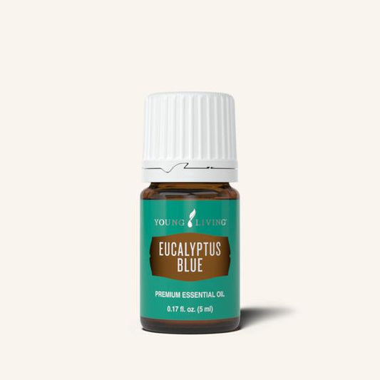 Young Living Eucalyptus Blue etherische olie, 100% pure essentiële olie van Eucalyptus bicostata met een frisse, zachte en licht zoete eucalyptusgeur.