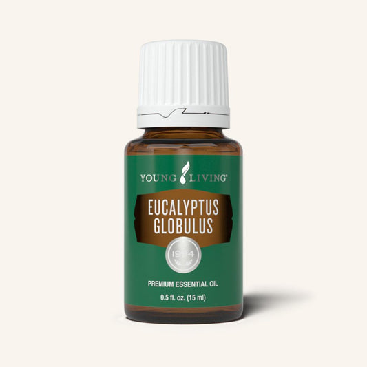 Young Living Eucalyptus Globulus etherische olie, 100% pure essentiële olie van Eucalyptus globulus met een krachtige, frisse en kamferachtige geur.
