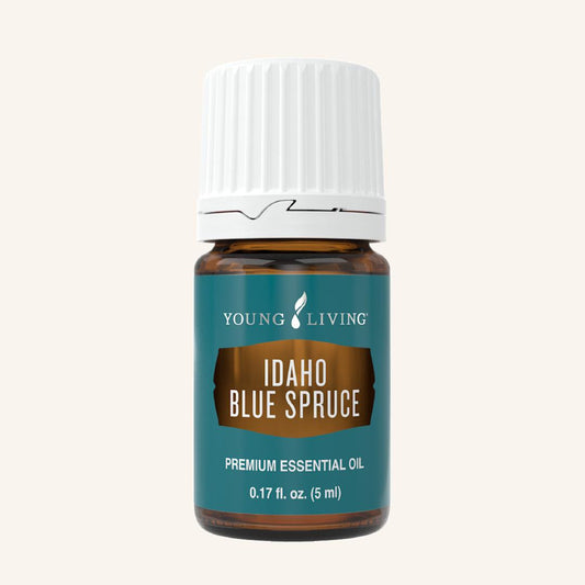 Young Living Idaho Blue Spruce etherische olie, 100% pure essentiële olie van Picea pungens met een fris, houtachtig en harsachtig bosaroma.