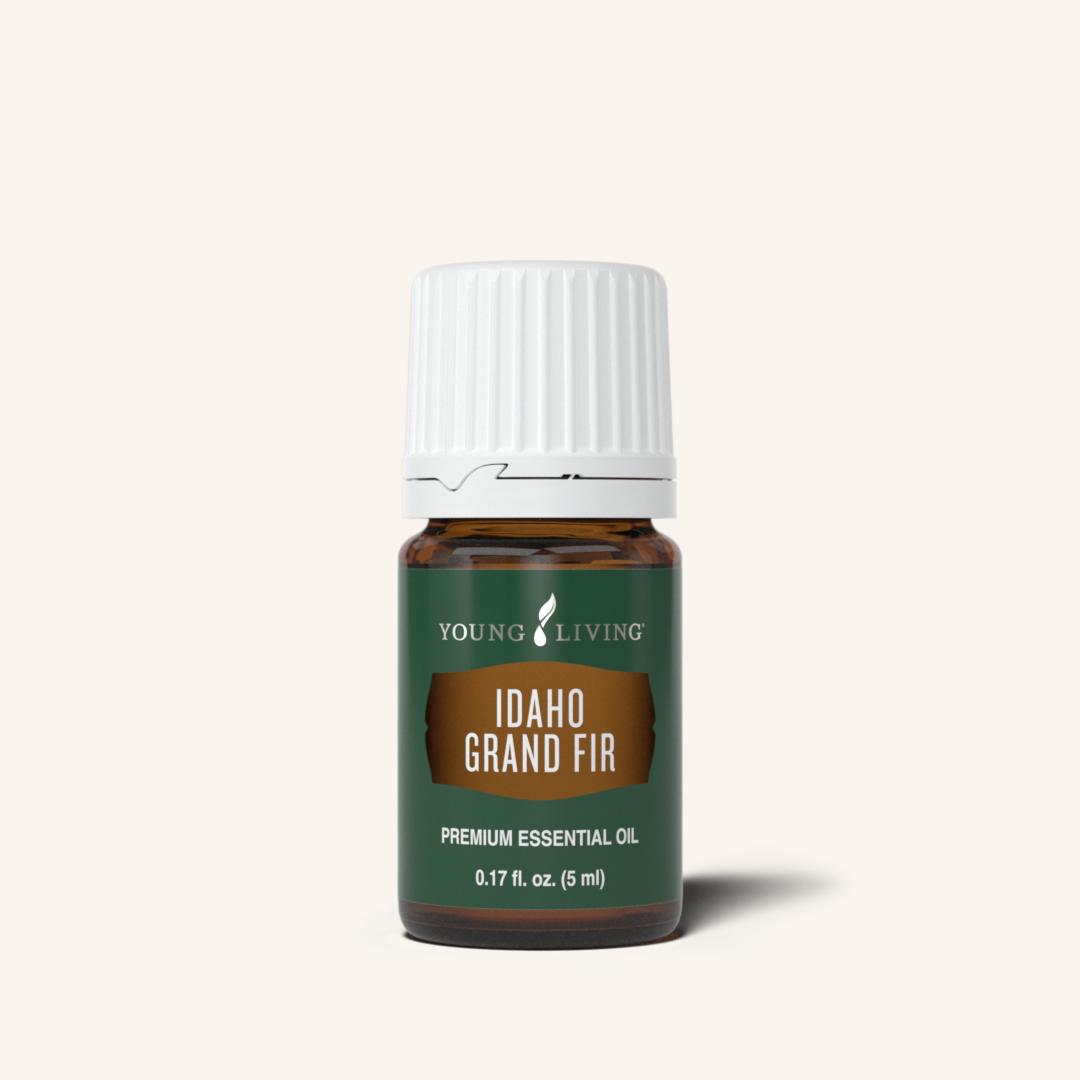 Young Living Idaho Grand Fir etherische olie, 100% pure essentiële olie van Abies grandis met een fris, houtachtig en balsamisch bosaroma.