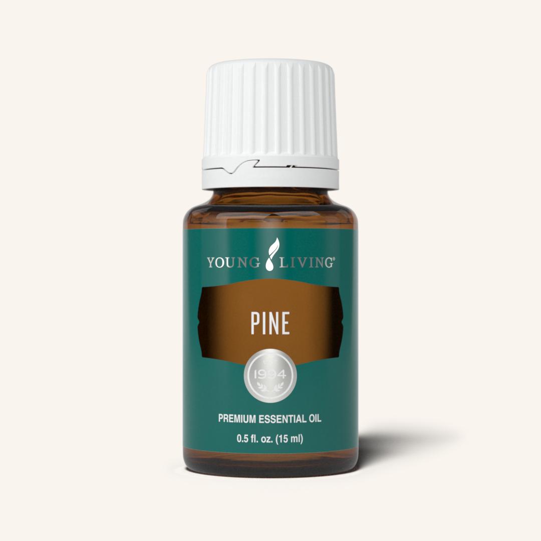 Young Living Pine etherische olie van Pinus sylvestris met een fris, houtachtig en harsachtig aroma voor aromatherapie.